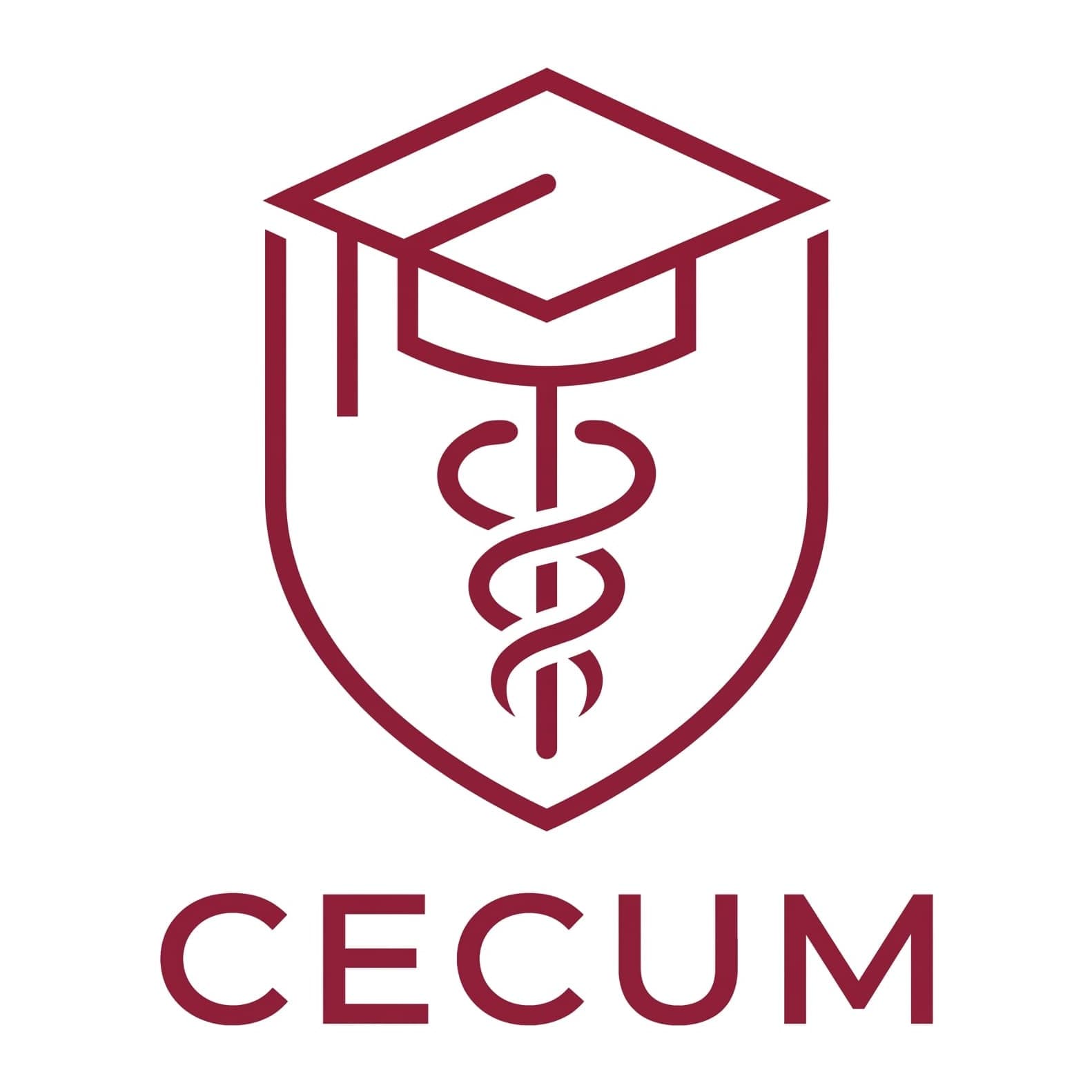 Cecum